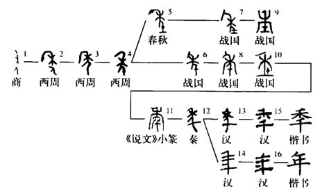 年的古字|年字形演变字源